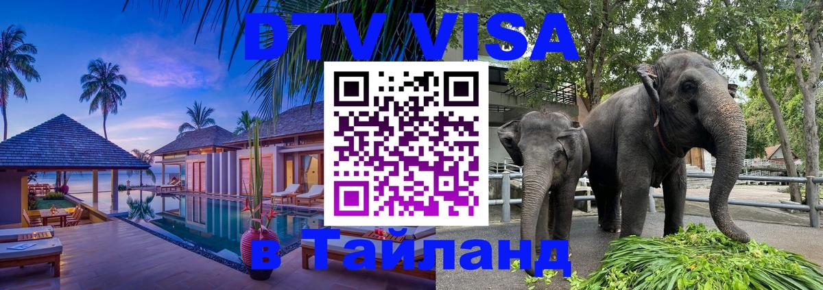 Оформить DTV визу в Тайланд Тюмень 
